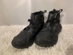 Reebok Zig Kinetica II Edge GTX ジグ キネティカ