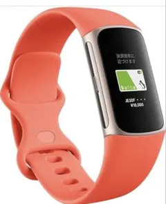 Fitbit charge6 スマートウォッチ 本体と交換バンドセット