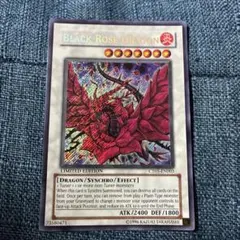 2025年最新】ブラックローズドラゴン 英語版の人気アイテム - メルカリ