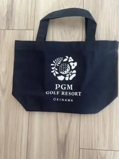 Item thumbnail for item 48e5da30-06a0-4f7c-8781-cdfdac095938