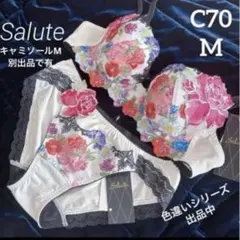 新品Salute サルート ブラ ショーツ C70M マイフェアレディ60 IV