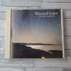 SHOGO HAMADA Wasted Tears CD