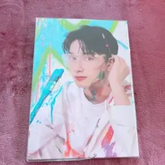 seventeen face the sun carat盤 バインダー　ジュン