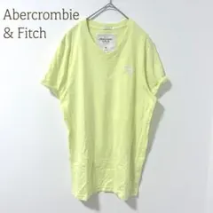 アバクロンビーアンドフィッチ VネックTシャツ M 半袖　無地　カジュアル