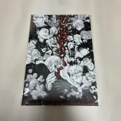 2025年最新】タイトル：呪術廻戦 クリアファイルの人気アイテム