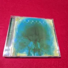 ROENTGEN.english