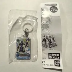 アイカツ！めじるしアクセサリー クールカードチャームA