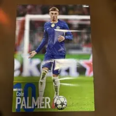 ワールドサッカーダイジェスト ポスター パーマー エステバン