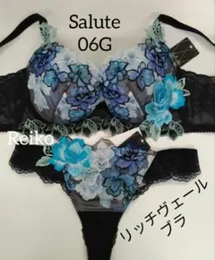 新品　ワコール　サルート　店舗限定　84Gリッチヴェールブラ　F80 リッチヴェールブラで後ろ姿も美シルエット˚✧₊⁎〜Salute