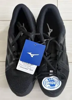 MIZUNO ミズノ マキシマイザー25 ブラック 25cm 3E 新品 미사용