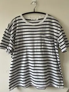 BROWNY STANDARD 半袖ストライプTシャツ M