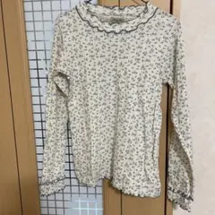 Item thumbnail for item fa8098fa-03e4-4180-bb55-75558bba0511