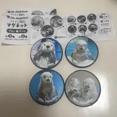 鳥羽水族館　ガチャガチャ　ファイン凹凸マグネット小　メイ　キラ　ラッコのサムネイル