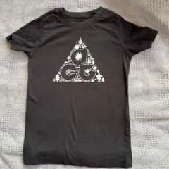 NIKE Tee ナイキ Tシャツ　ACG acg