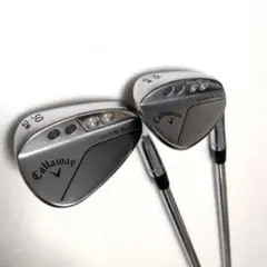 Item thumbnail for item 8c8f671e-1f29-4d47-9a36-c71207366fee