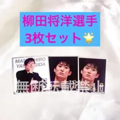 ルチアーノヴィセンティン グレベア ステッカー 東京グレートベアーズ