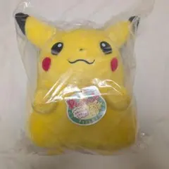 おかえりピカチュウ　ポケモン30周年記念