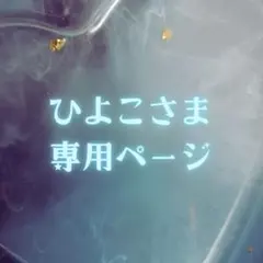 ひよこさま専用ページ✦.˚