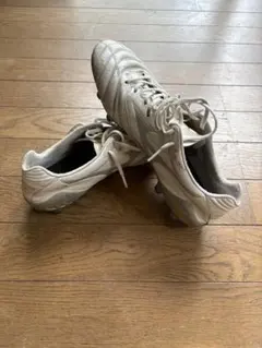 モナルシーダ 26.5