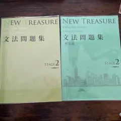 NEW TREASURE ENGLISH SERIES 文法問題集