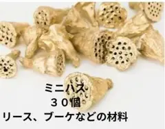 大地農園 ミニハス 約4cm ゴールド 2袋セット（計30個）花材ブーケ　リース