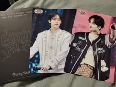 StrayKids VR リノ ラントレ 2枚セット