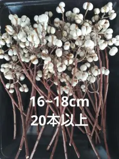 ariana様 リクエスト 2点 まとめ商品