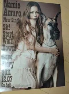 美品・非売品】安室奈美恵 I HAVE NEVER SEEN B2版ポスター - メルカリ