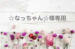 ☆なっちゃん☆様専用