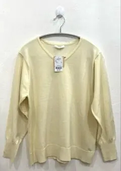 chocol raffine アイボリーアルガンオイル配合Vネックニット　フリー