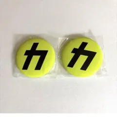 Snow Man アルバム「音故知新」 の初回盤Ｂ購入特典、カリスマックス