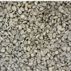 コロンビア ミラン農園 スペシャルティコーヒー 生豆 5kg SAKURA