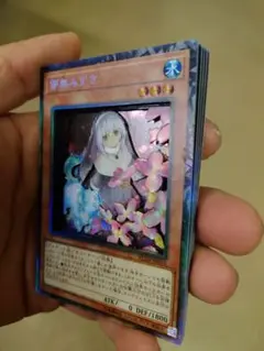 遊戯王　鑑賞　立体　はなみずき（コレクターズ4枚とシク1枚）