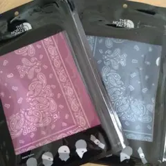 りんご様新品未使用！ザノースフェイス　ディプシーカバーイット