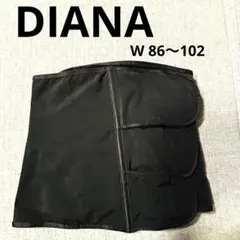2025年最新】ダイアナ ウエストニッパーの人気アイテム - メルカリ