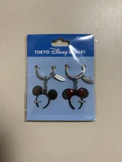 東京ディズニーリゾート ミッキー・ミニー キーホルダー 2個セット