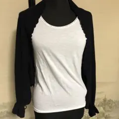 Item thumbnail for item 8b8fef13-3d37-4ad5-8574-4fe0718cc4d0