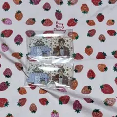 名探偵コナン　コナン展　パズル　博士　沖矢