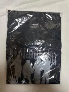 Item thumbnail for item 8cdda13c-6b4e-4709-bca0-a1237c74553f