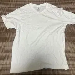ホワイト Vネック Tシャツ