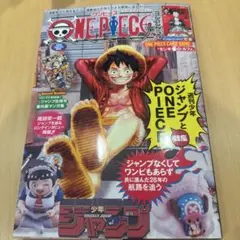 ワンピースマガジン 20号【付録付き】