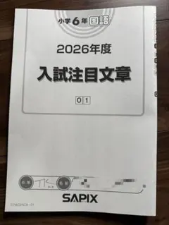 2026年最新】sapix テキストの人気アイテム - メルカリ