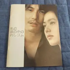 私の頭の中の消しゴム/映画パンフレット