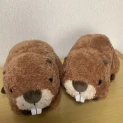 仙台うみの杜水族館 アメリカビーバーぬいぐるみ 2体セット