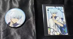 【ブルーロック】テーマパークver 缶バッジ　トレーディングカード　氷織羊