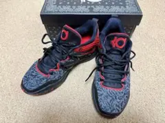 Nike ナイキ KD 15 EP メンズ 27.5cm DM1054-003