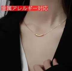 ネックレス 高級感 ステンレス ペンダント調節可能 ゴールド レディース