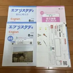 【未使用】エブリスタディ English 2025年8月号 小5