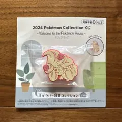 2024 Pokémon Collection くじ - ポケモンハウス