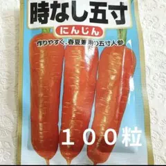 ❦即購入お値下げ大歓迎❦ SHOPパルン様 リクエスト 2点 まとめ商品